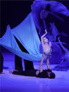 2023舞蹈节 中央芭蕾舞团《小美人鱼》
