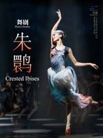 上海歌舞团《朱鹮》－泱泱国风·舞动经典